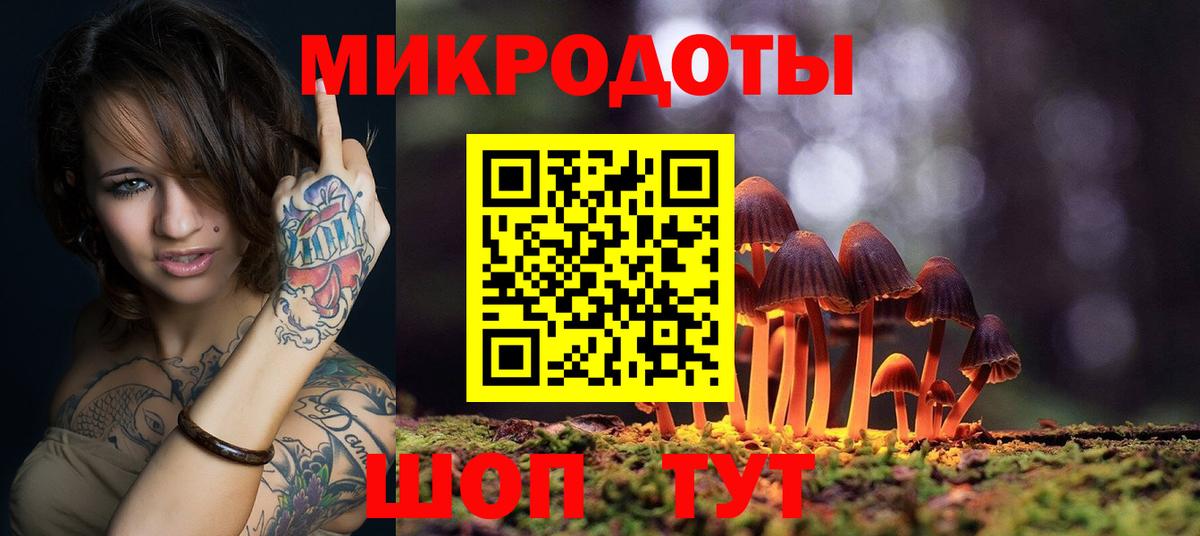 Псилоцибиновые грибы Psilocybine cubensis Железногорск