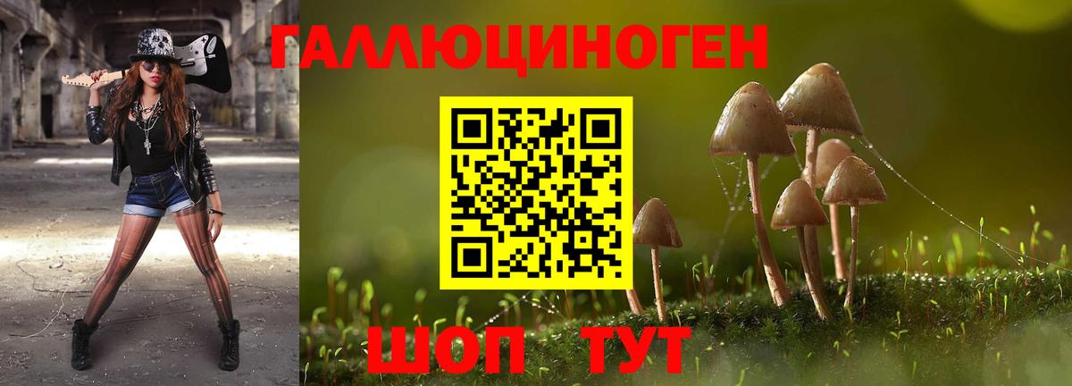 Железногорск  Псилоцибиновые грибы Psilocybe  Вход с VPN 